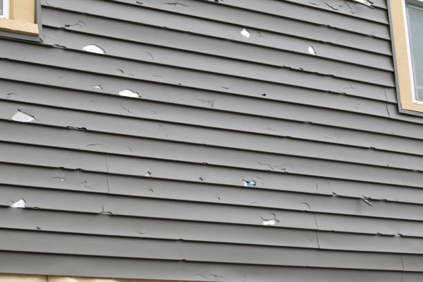 Best Steel Siding Installation  in Winnie, TX